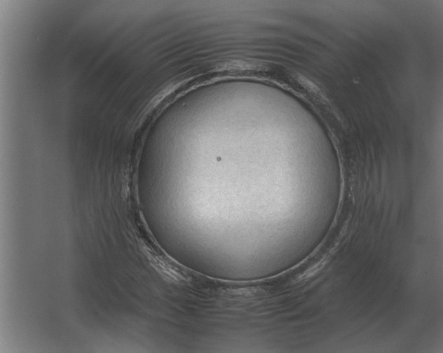 X0000067521017200604211811