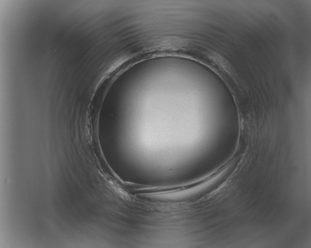 X0000067521018200604211811