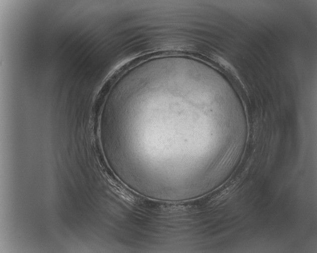 X0000067521019200604211811