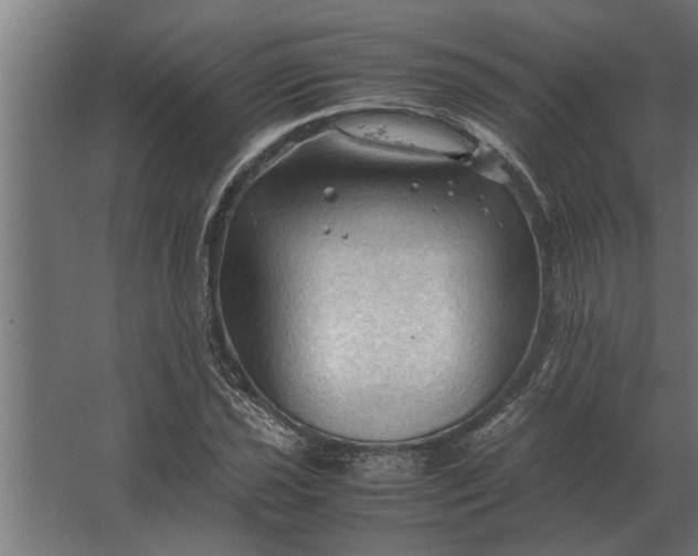 X0000067521021200604211811