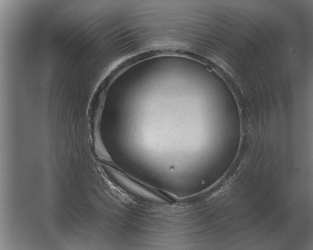 X0000067521022200604211811