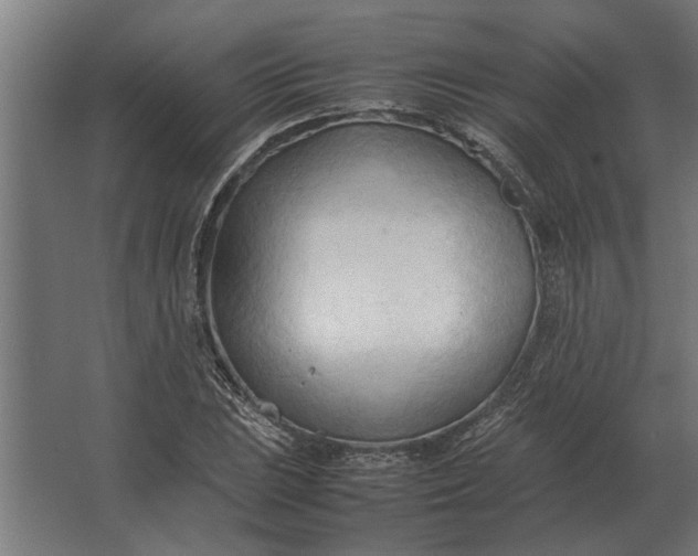 X0000067521023200604211811