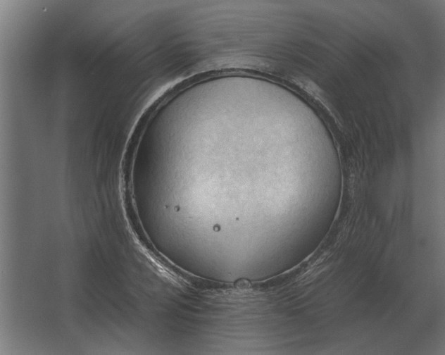 X0000067521024200604211811