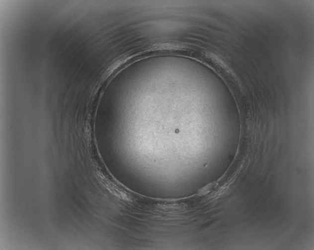 X0000067521025200604211811