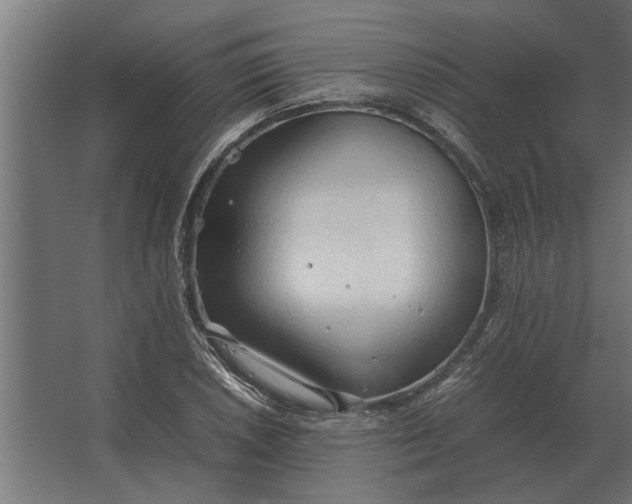 X0000067521026200604211811