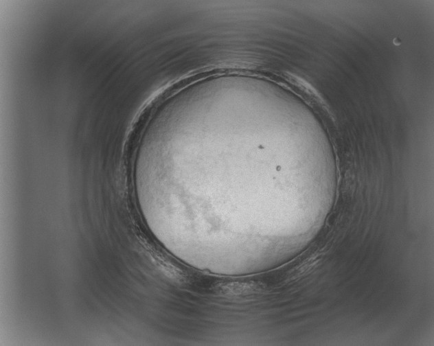 X0000067521027200604211811