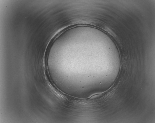 X0000067521028200604211811