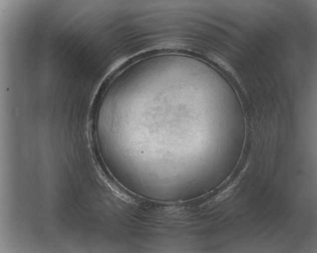 X0000067521029200604211811