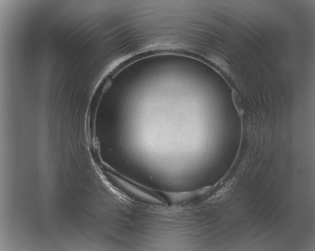 X0000067521030200604211811