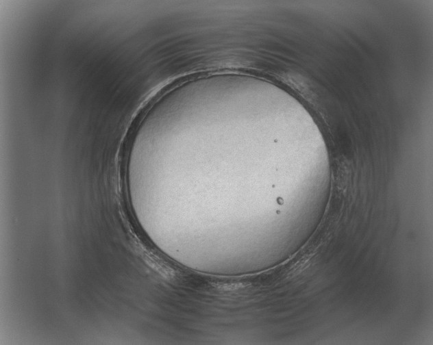 X0000067521031200604211811