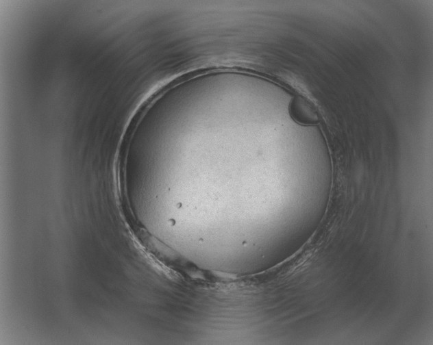 X0000067521032200604211811