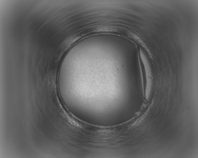 X0000067521033200604211811