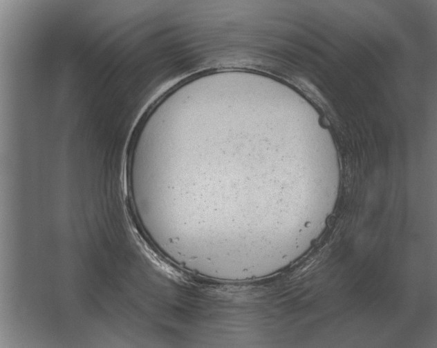 X0000067521036200604211811