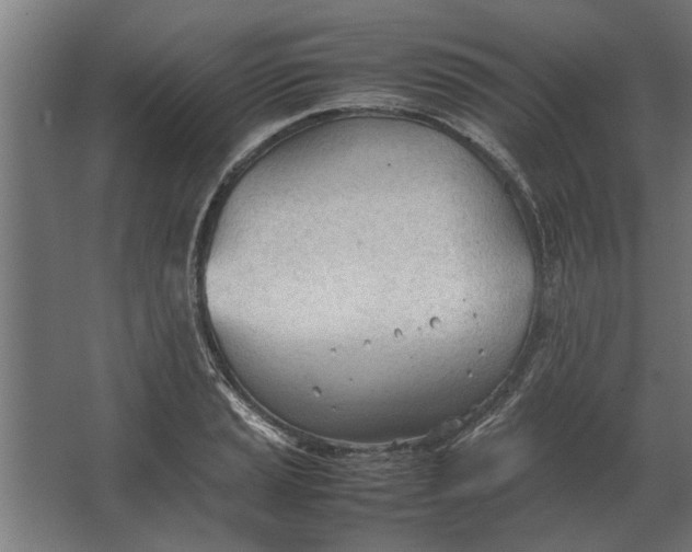 X0000067521037200604211811