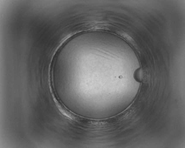 X0000067521039200604211812