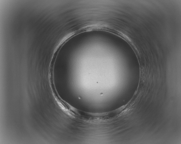 X0000067521042200604211812