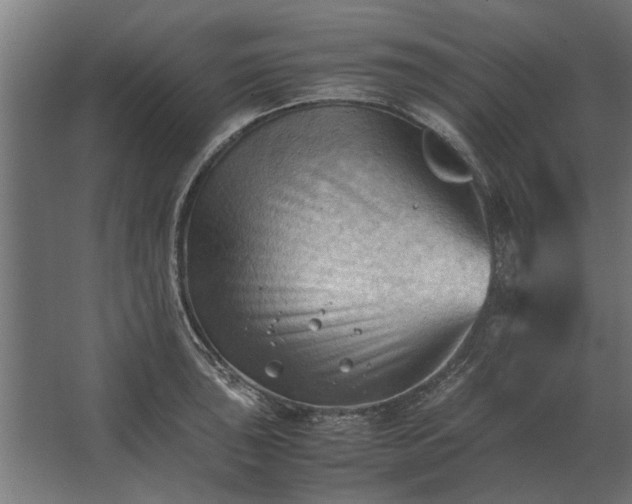 X0000067521043200604211812