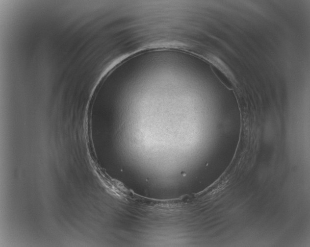 X0000067521044200604211812