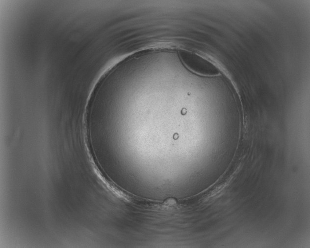 X0000067521045200604211812