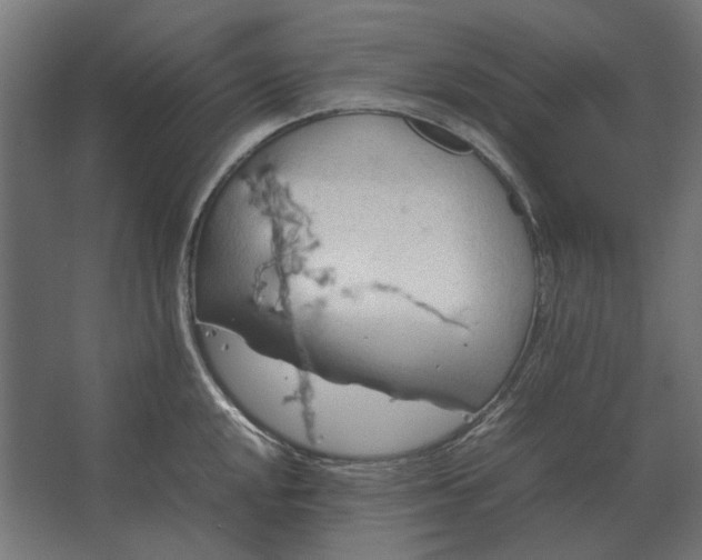 X0000067521048200604211812