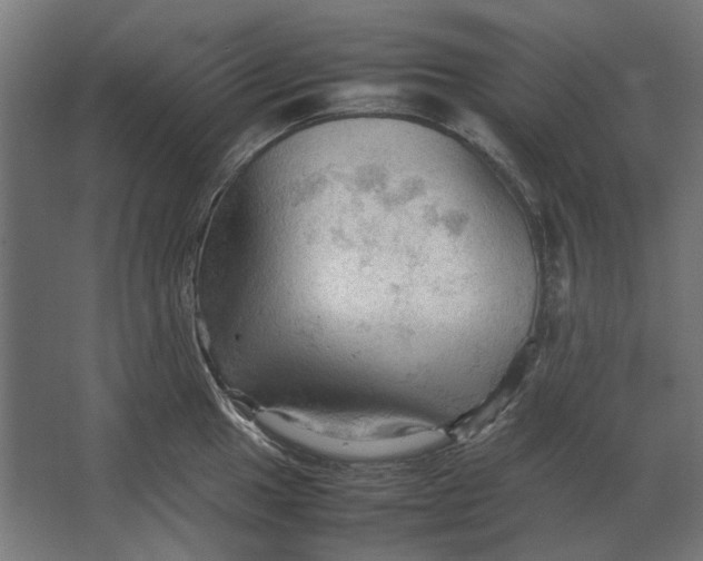 X0000067521049200604211812