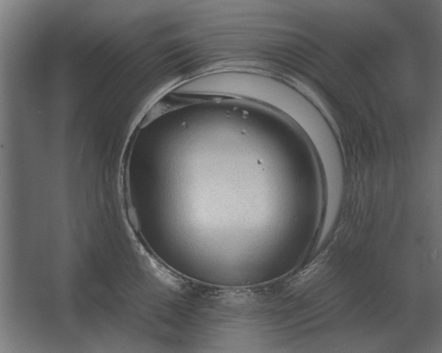 X0000067521050200604211812