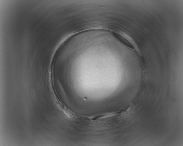 X0000067521051200604211812