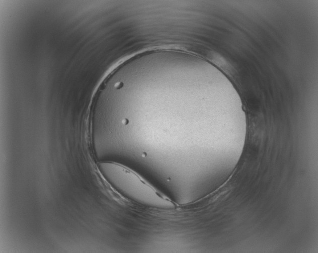 X0000067521052200604211812