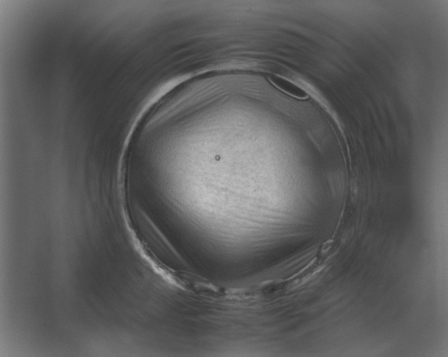 X0000067521053200604211812