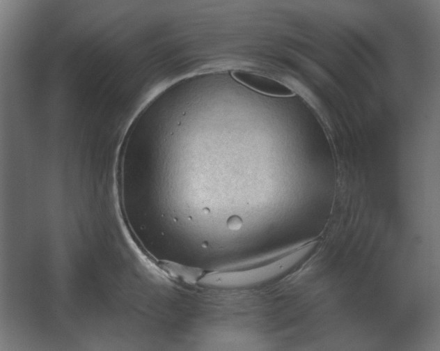 X0000067521055200604211812