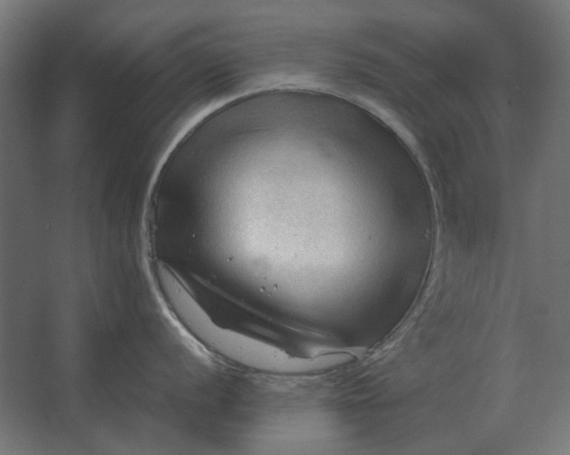 X0000067521056200604211812