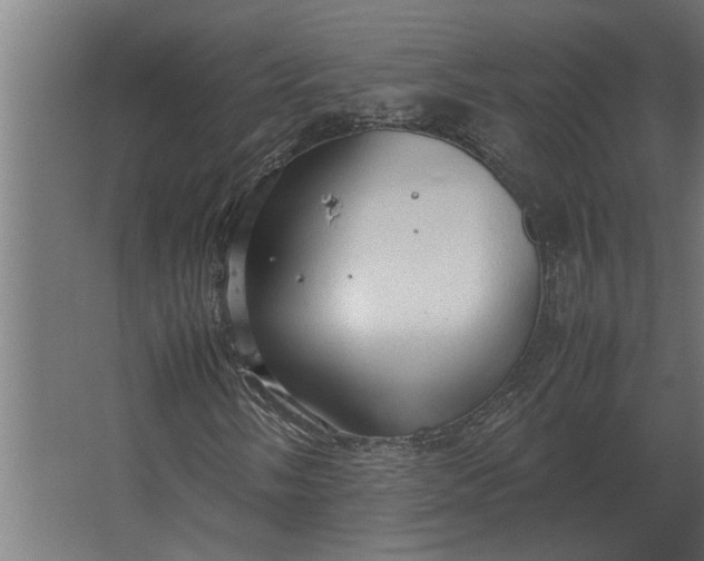 X0000067521058200604211811