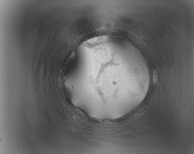 X0000067521059200604211811