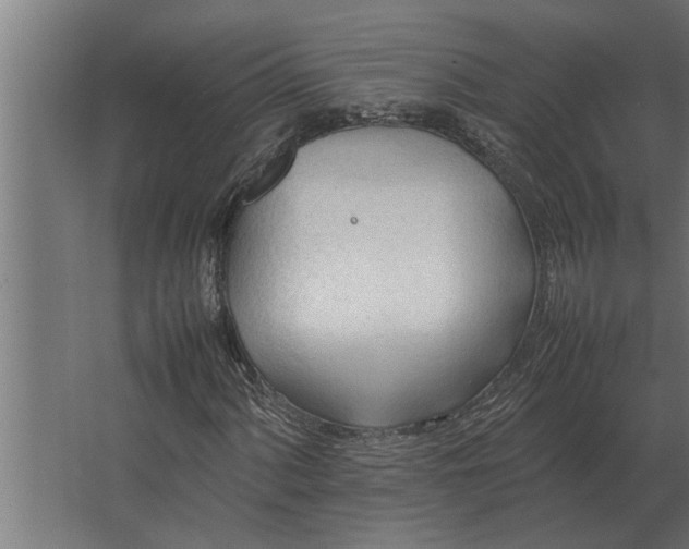 X0000067521060200604211811