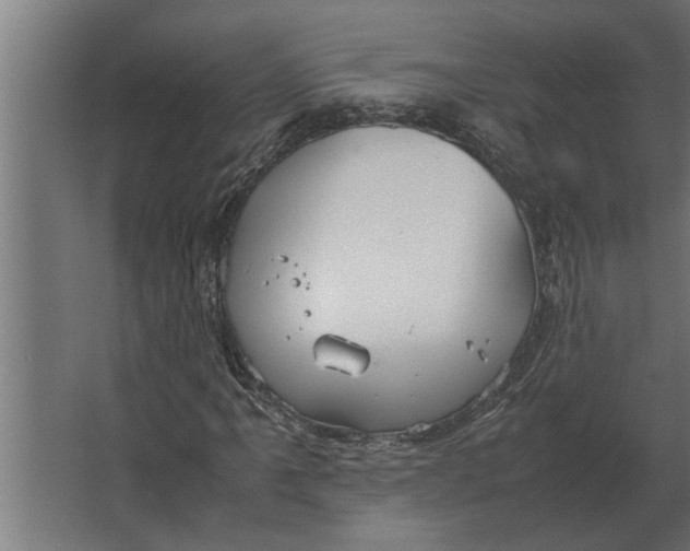 X0000067521061200604211811