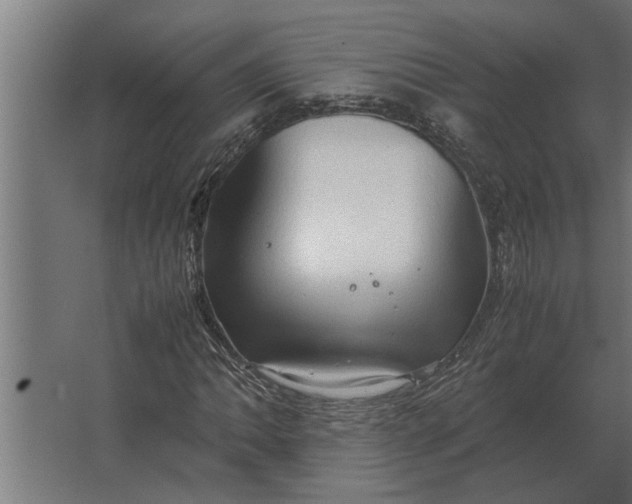 X0000067521062200604211811