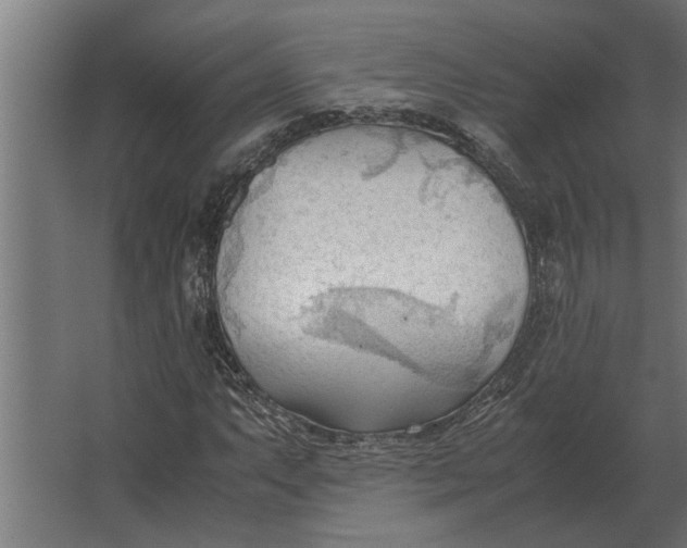 X0000067521063200604211811