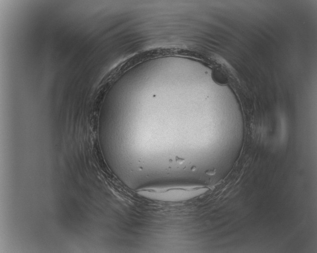 X0000067521064200604211811