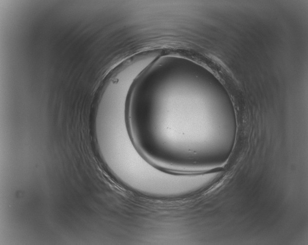 X0000067521065200604211811