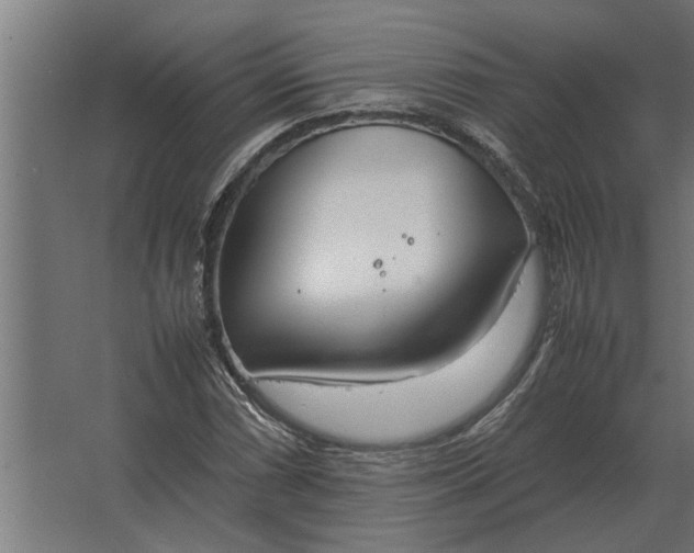 X0000067521066200604211811