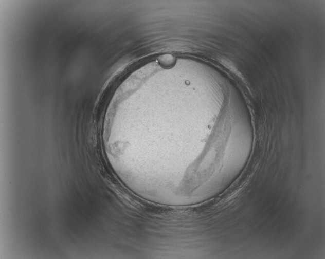 X0000067521067200604211811