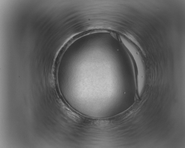 X0000067521068200604211811