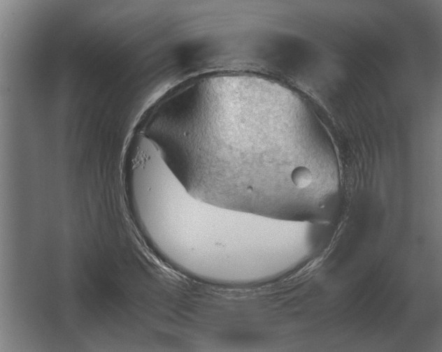 X0000067521071200604211811