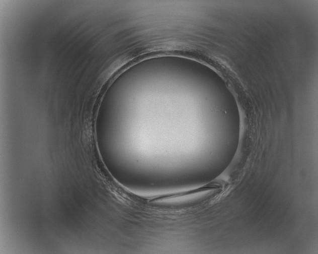 X0000067521073200604211811