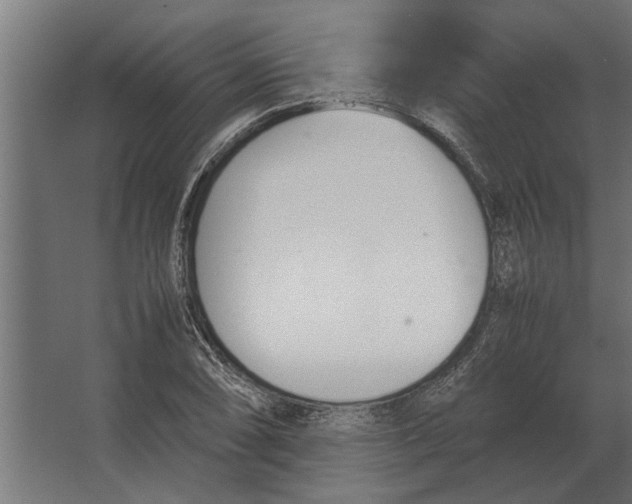 X0000067521074200604211811