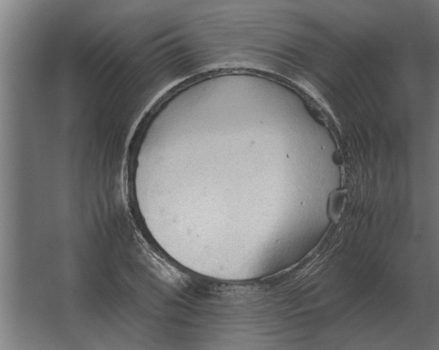 X0000067521076200604211811