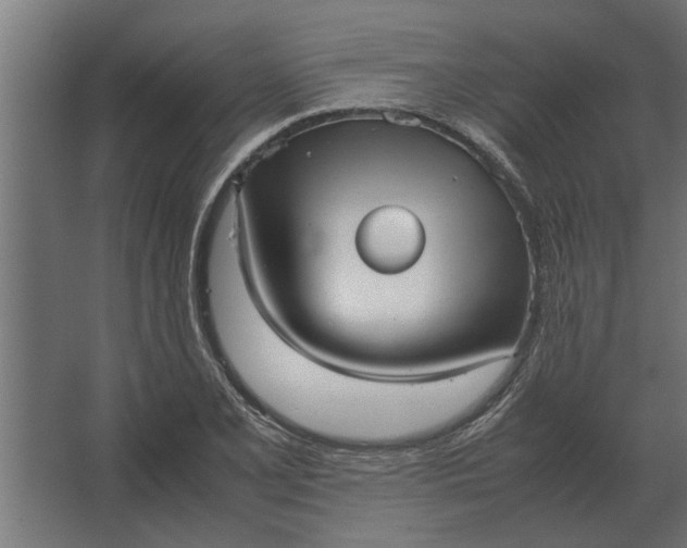 X0000067521077200604211811