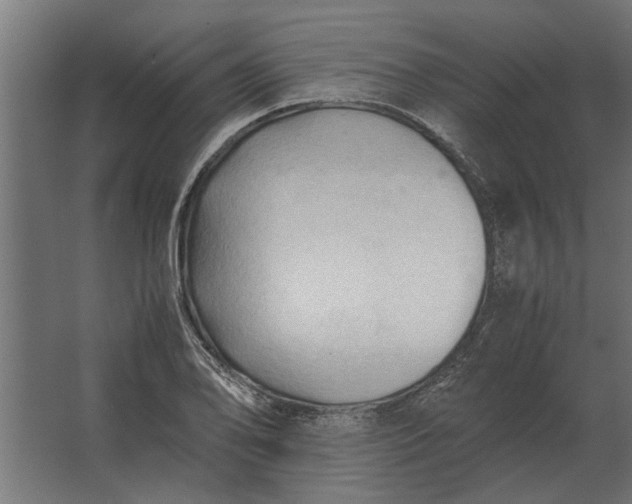 X0000067521078200604211811