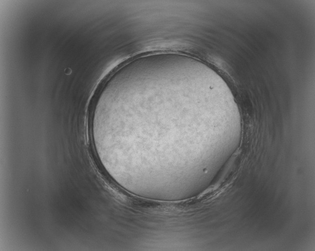 X0000067521079200604211811