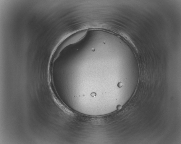 X0000067521080200604211811